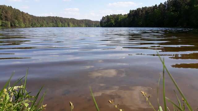 Виллы Krzynia - dom nad jeziorem na wynajem Krzynia-35