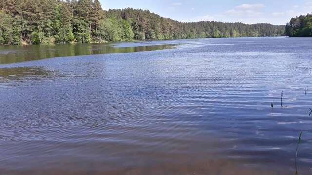 Виллы Krzynia - dom nad jeziorem na wynajem Krzynia-38