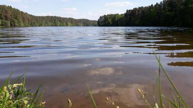 Виллы Krzynia - dom nad jeziorem na wynajem Krzynia-39