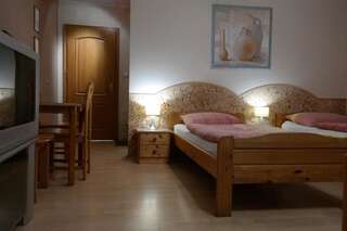 Отель VillaMirage Тарновске-Гуры Двухместный номер Делюкс с 1 кроватью или 2 отдельными кроватями-23