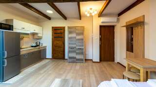 Апарт-отели Apartamenty Galicja Пшемысль Апартаменты-4