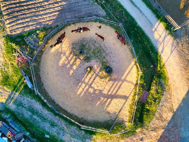 Фермерские дома Gospodarstwo Agroturystyczne 