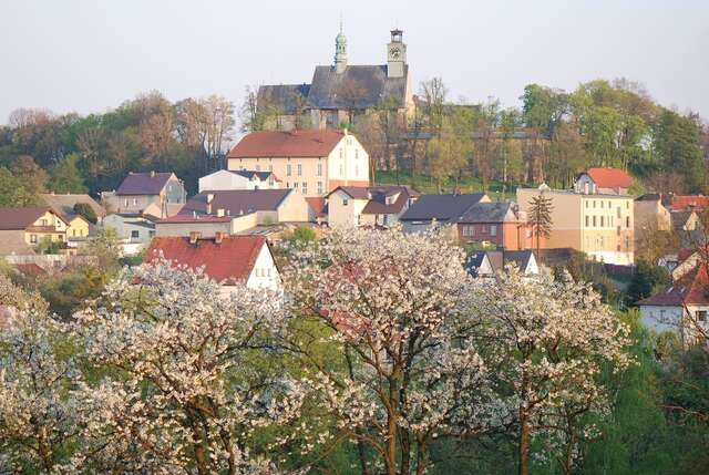 Курортные отели Dom Pielgrzyma Góra Świętej Anny-6