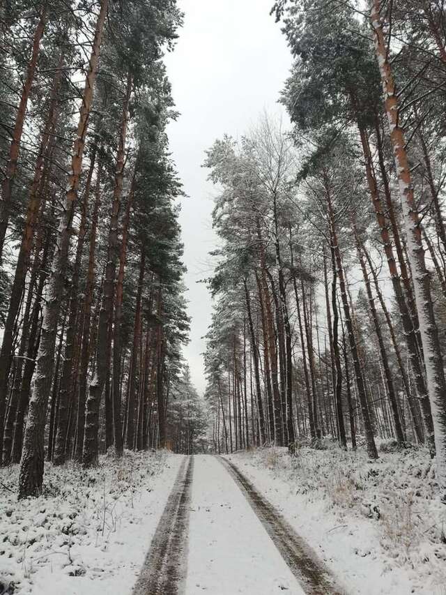 Фермерские дома SielskoAnielsko Męcina Wielka-16