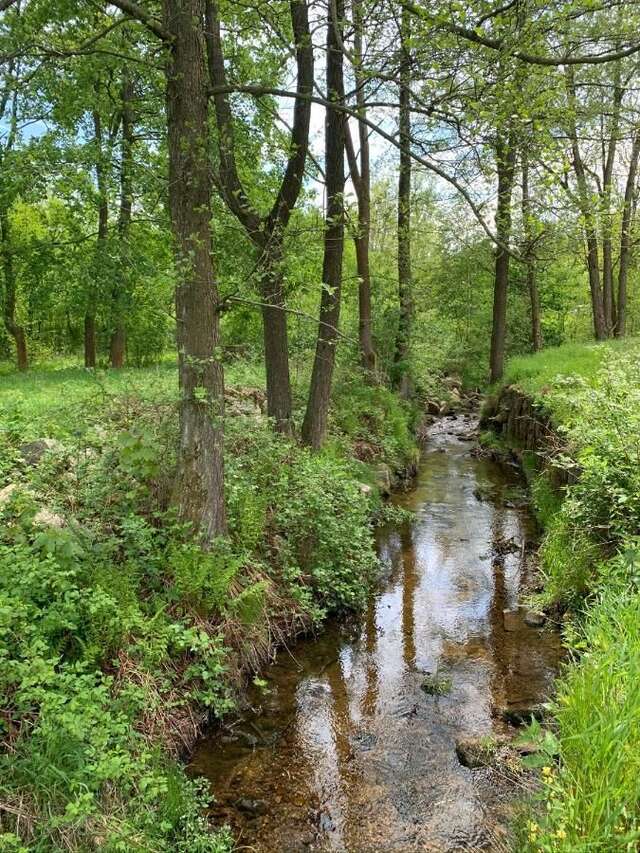 Проживание в семье Agroturystyka Sokoliki Karpniki-15