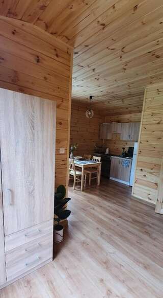 Дома для отпуска Domek drewniany nad jeziorem Zełwągi Дом с 2 спальнями-8