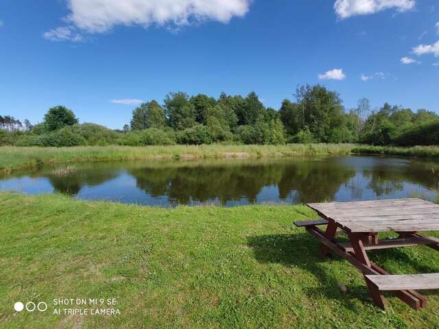 Фермерские дома Agroturystyka Leśny Dworek Бялы-Бур-19