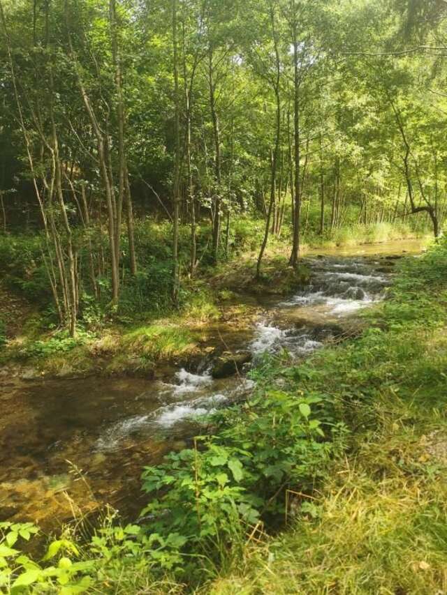 Шале Nad Potokiem Строне-Слёнске-46