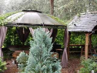 Фото номер Ranczo Gold Mania domek w ogrodzie 1km od Suntago Дом с 2 спальнями