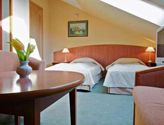 Отели типа «постель и завтрак» Villa Hoff Wellness & Spa Тшенсач Двухместный номер Делюкс с 1 кроватью-4