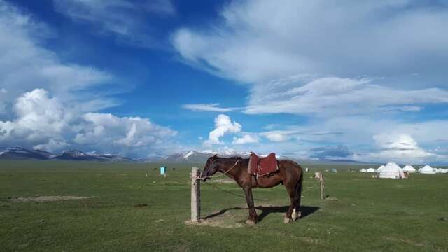 Люкс-шатры Yurt camp Nur in Song-Kol Lake Кочкор-13