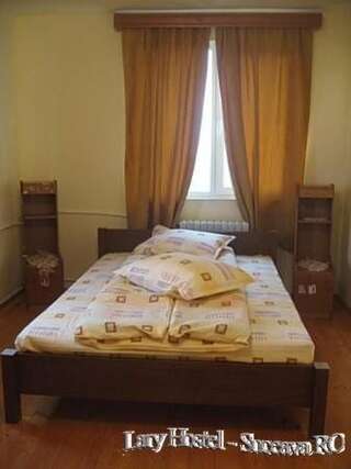 Хостелы Lary Hostel Сучава Двухместный номер с 1 кроватью и собственной ванной комнатой-13
