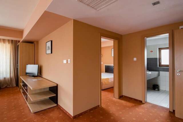 Отель Hotel Oxford Inns&Suites Тимишоара-35