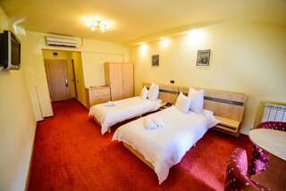 Отель Hotel Clipa Дробета-Турну- Севери Двухместный номер без балкона с 2 отдельными кроватями-1