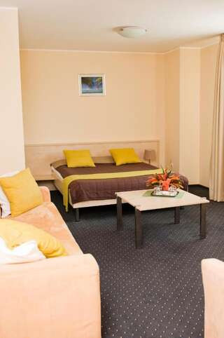 Отель Hotel Pacific Тимишоара