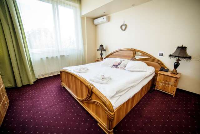 Отель Hotel Olimp Клуж-Напока-30