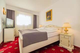 Отель Hotel Imparatul Romanilor Сибиу Двухместный номер с 1 кроватью-2