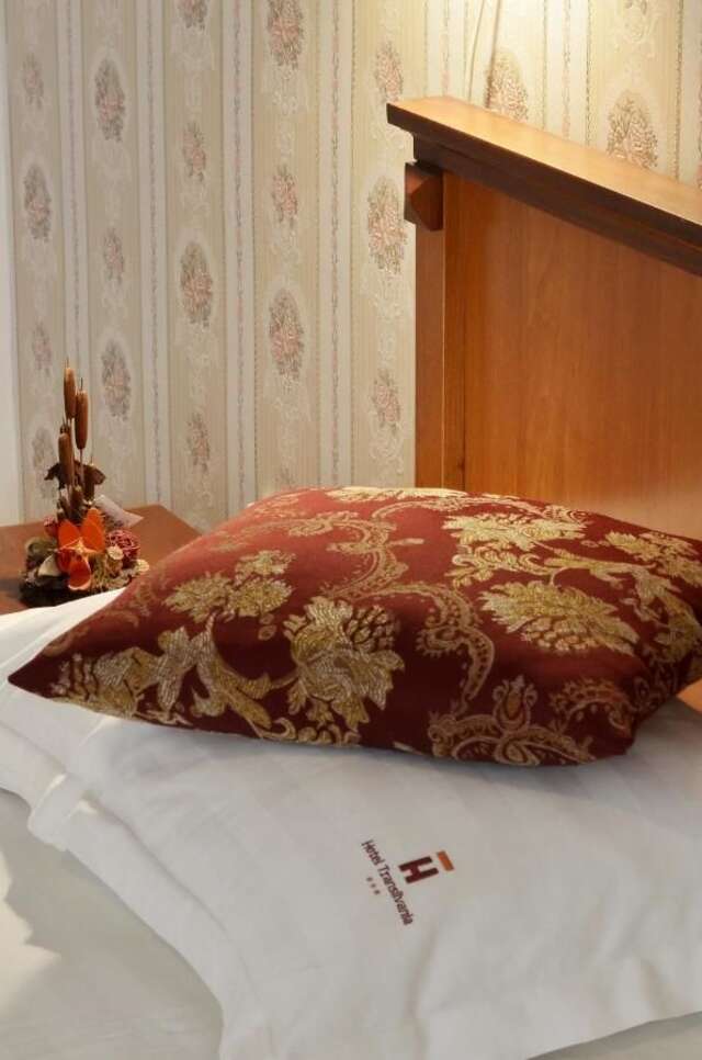 Отель Hotel Transilvania Клуж-Напока-45
