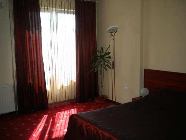 Отель Hotel Ary Клуж-Напока-27