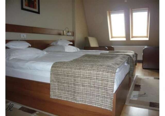 Отель Hotel Crisana Arad Арад-26