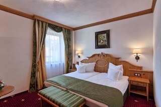 Отель Mercure Sighisoara Binderbubi Hotel & Spa Сигишоара Стандартный двухместный номер с 1 кроватью-1