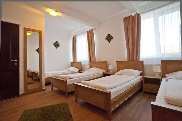 Гостевой дом Pension Club Montana Кымпина-26