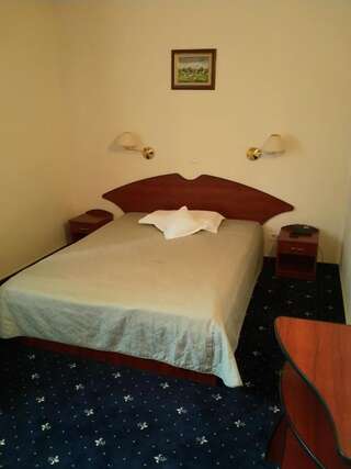 Отель Hotel Egreta Тулча Двухместный номер с 1 кроватью или 2 отдельными кроватями-5