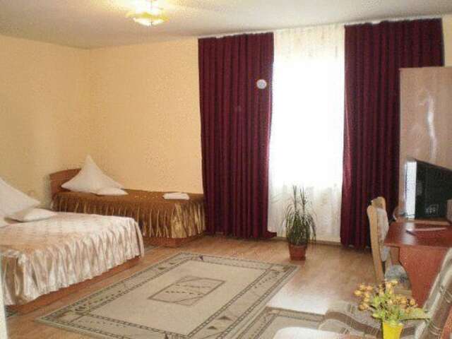 Отель Hotel Delaf Клуж-Напока-18