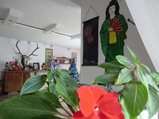 Фото  Pension Casa Samurai город Брашов (24)