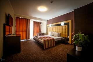 Отель Hotel Ozana Бистрица Двухместный номер с 1 кроватью-18