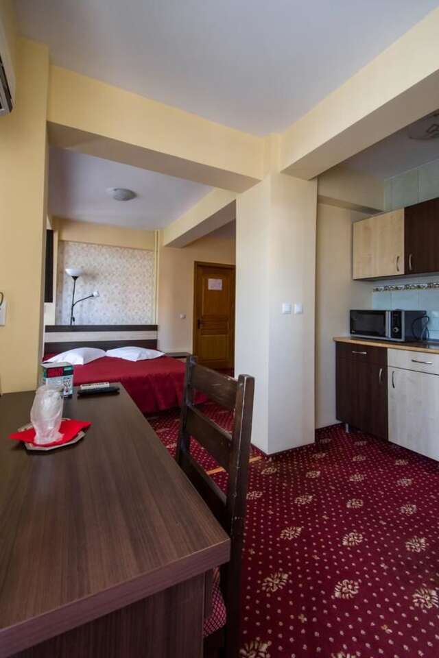 Отель Hotel Tudor Плоешти-38