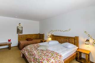 Курортные отели Cheile Gradistei Fundata Resort & Spa Фундата Двухместный номер с 1 кроватью или 2 отдельными кроватями-7
