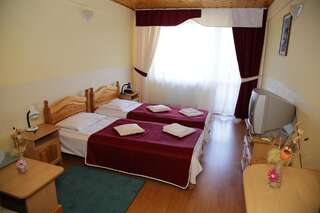 Отель Hotel Simeria Гура-Гуморулуй Двухместный номер с 1 кроватью или 2 отдельными кроватями-10