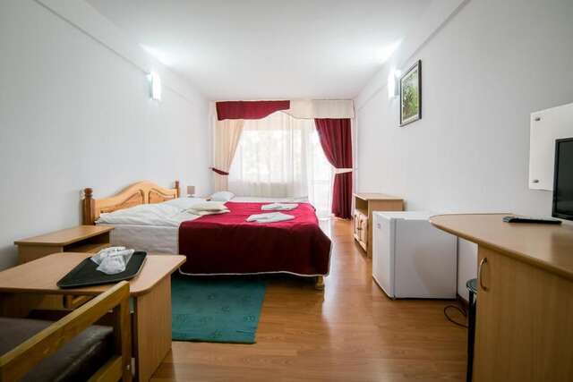 Отель Hotel Simeria Гура-Гуморулуй-57