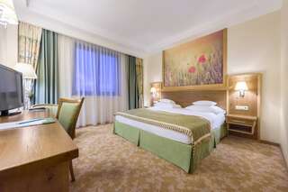 Отель Hotel Sonnenhof Сучава Двухместный номер с 1 кроватью-6