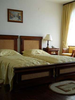 Отель Casa Domneasca Куртя-де-Арджеш Двухместный номер с 2 отдельными кроватями-1