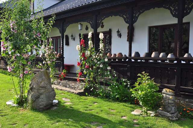 Отели типа «постель и завтрак» Bed & Breakfast Popamuseum Tarpesti- Tîrpeşti-7