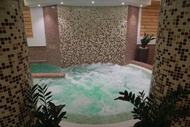 Отель Hotel Muresul Health Spa Совата-15