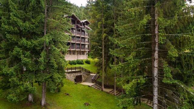 Отель Ana Hotels Bradul Poiana Brasov Пояна-Брашов-3