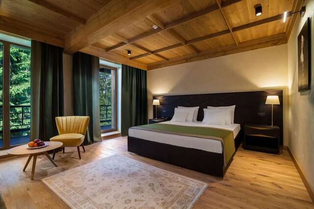 Отель Ana Hotels Bradul Poiana Brasov Пояна-Брашов-10