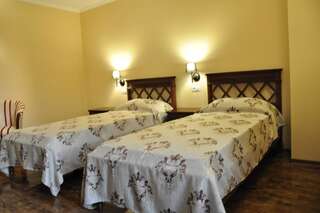 Отель Vigo Grand Hotel Плоешти Двухместный номер с 1 кроватью или 2 отдельными кроватями-1