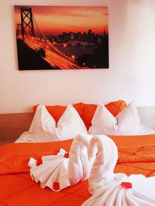 Гостевой дом Pensiunea Red Rose Apartments Тимишоара-25