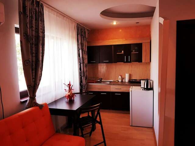 Гостевой дом Pensiunea Red Rose Apartments Тимишоара-6