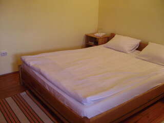 Гостевой дом Pensiunea Popasul Iancului Мэришел Двухместный номер с 1 кроватью или 2 отдельными кроватями-4