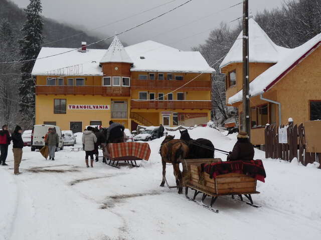 Гостевой дом Vila Transilvania Балваниос-4