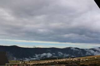 Гостевой дом Cabana Transalpina Рынка Двухместный номер с 1 кроватью-41