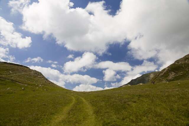 Гостевой дом Cabana Transalpina Рынка-46