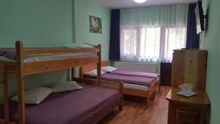 Хостелы Hostel Voineasa Войняса Семейный номер с балконом-3