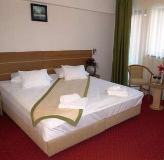 Отель Hotel Carpați Предял Стандартный двухместный номер с 1 кроватью-1