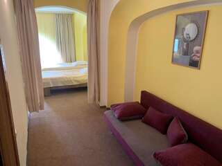 Отель Hotel Rares Ботошани Двухместный номер с 2 отдельными кроватями-2
